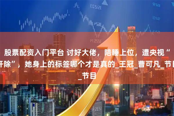 股票配资入门平台 讨好大佬，陪睡上位，遭央视“开除”，她身上的标签哪个才是真的_王冠_曹可凡_节目