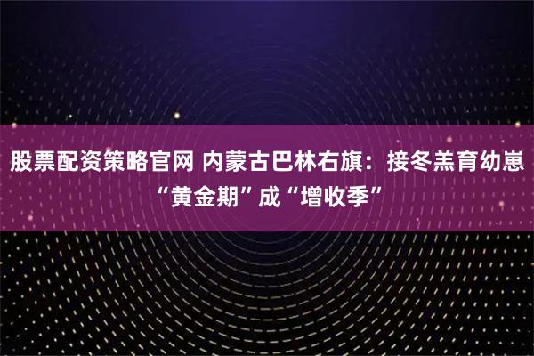 股票配资策略官网 内蒙古巴林右旗:接冬羔育幼崽“黄金期”成“增收季”